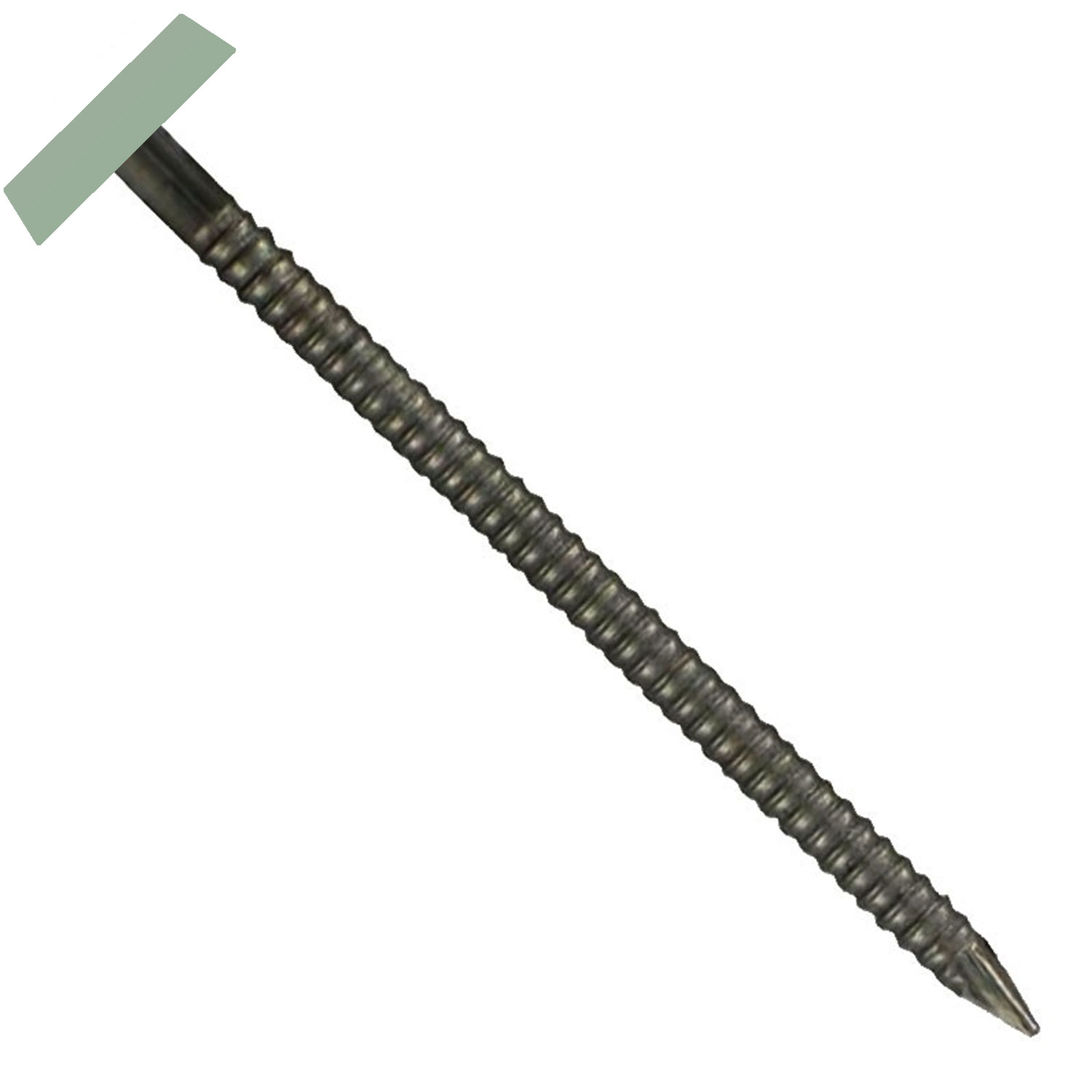 Chartwell Green 40mm Plastic Headed Pins (250 | Bright Nails)
