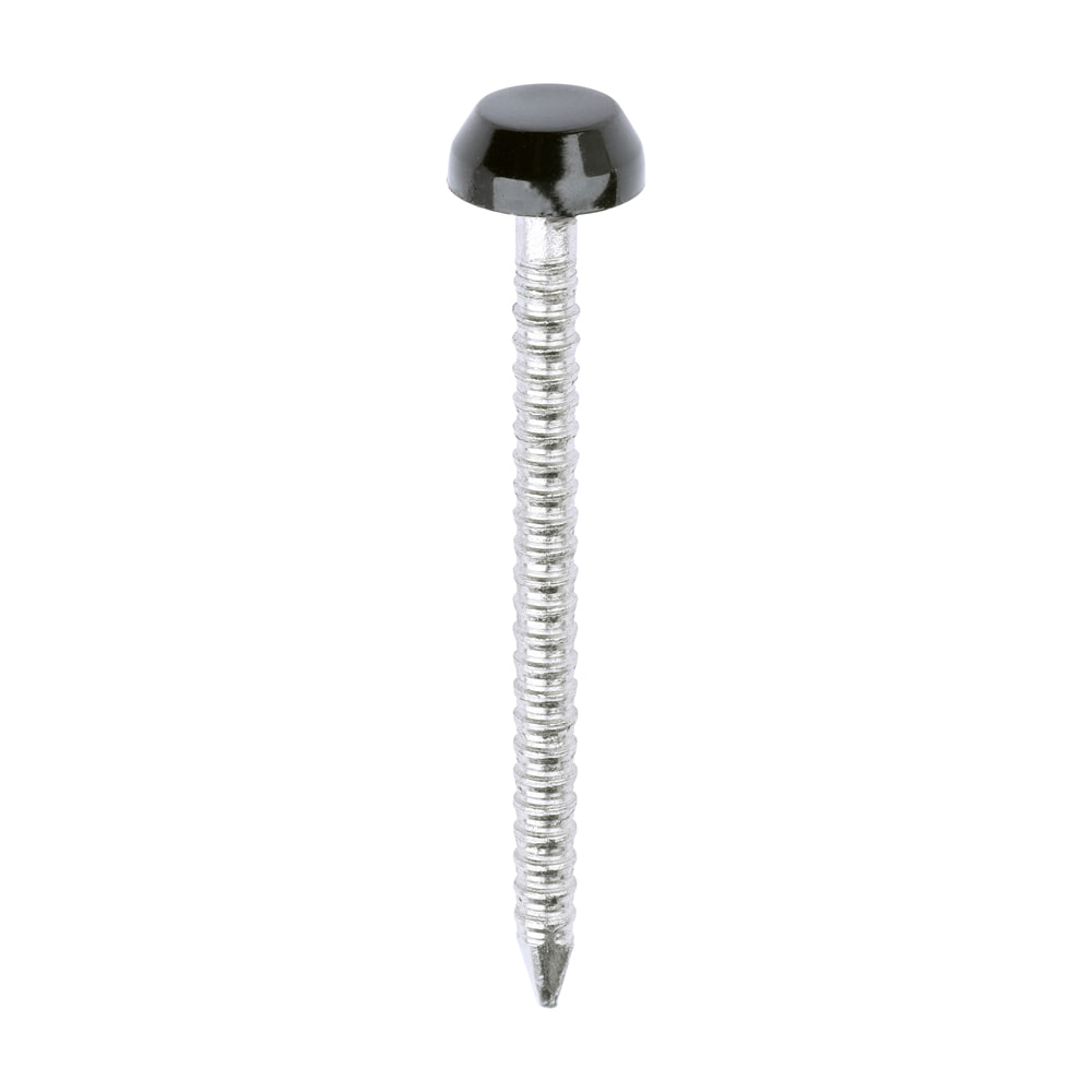 Black 30mm Plastic Headed Pins (250 | TIMCO Nails)
